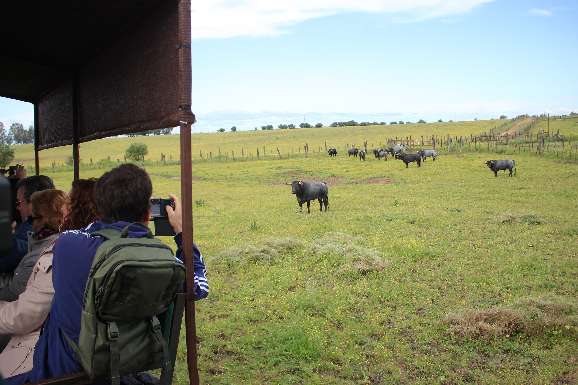 Sevilla - Visita a la ganadería de Partido de Resina - 7 de abril de 2018