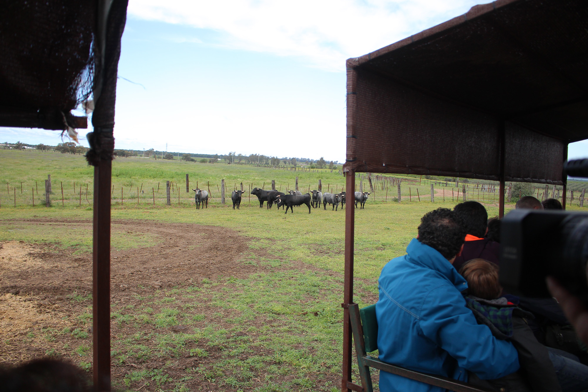 Sevilla - Visita a la ganadería de Partido de Resina - 7 de abril de 2018