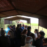 Sevilla - Visita a la ganadería de Partido de Resina - 7 de abril de 2018