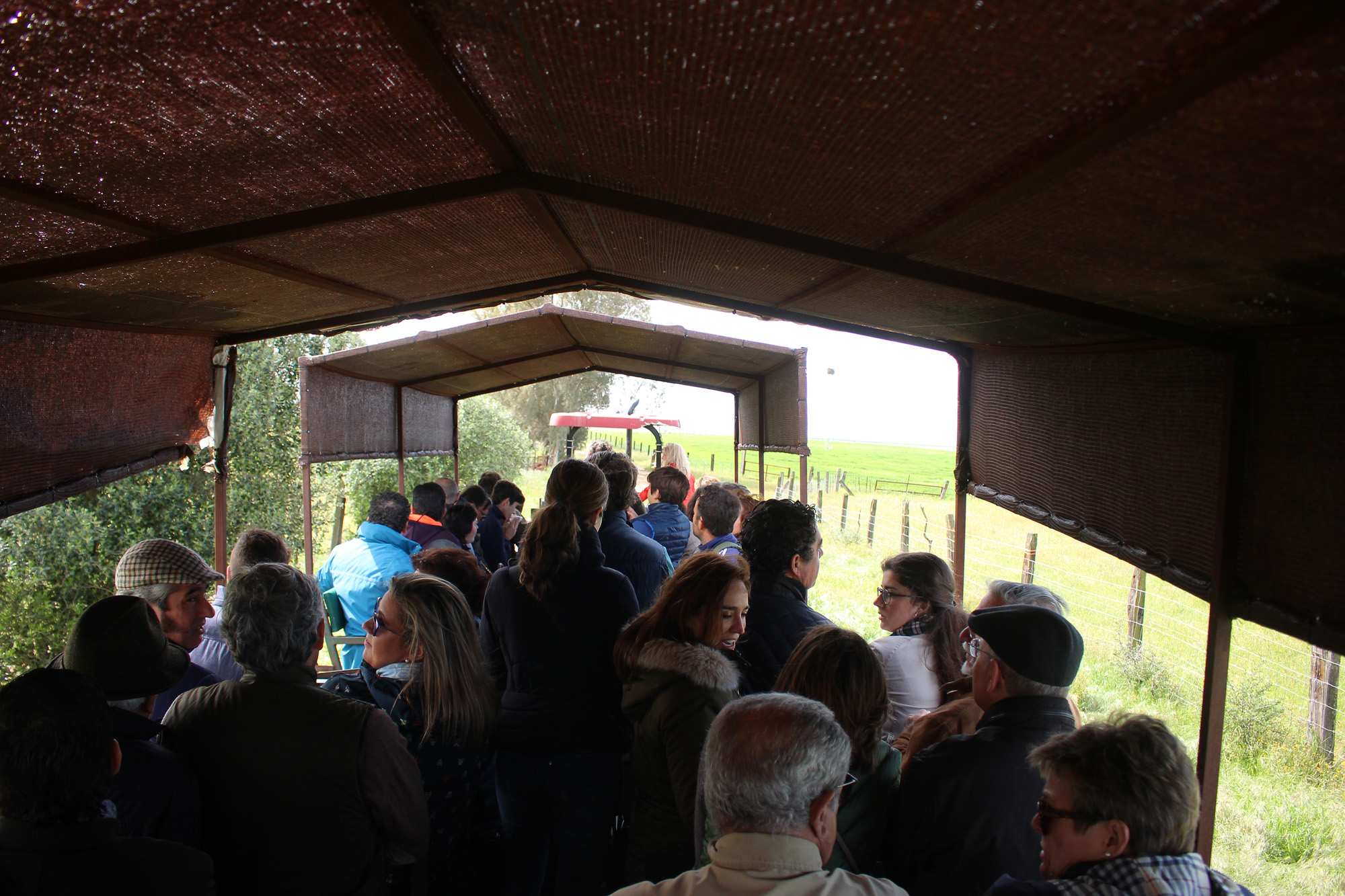 Sevilla - Visita a la ganadería de Partido de Resina - 7 de abril de 2018