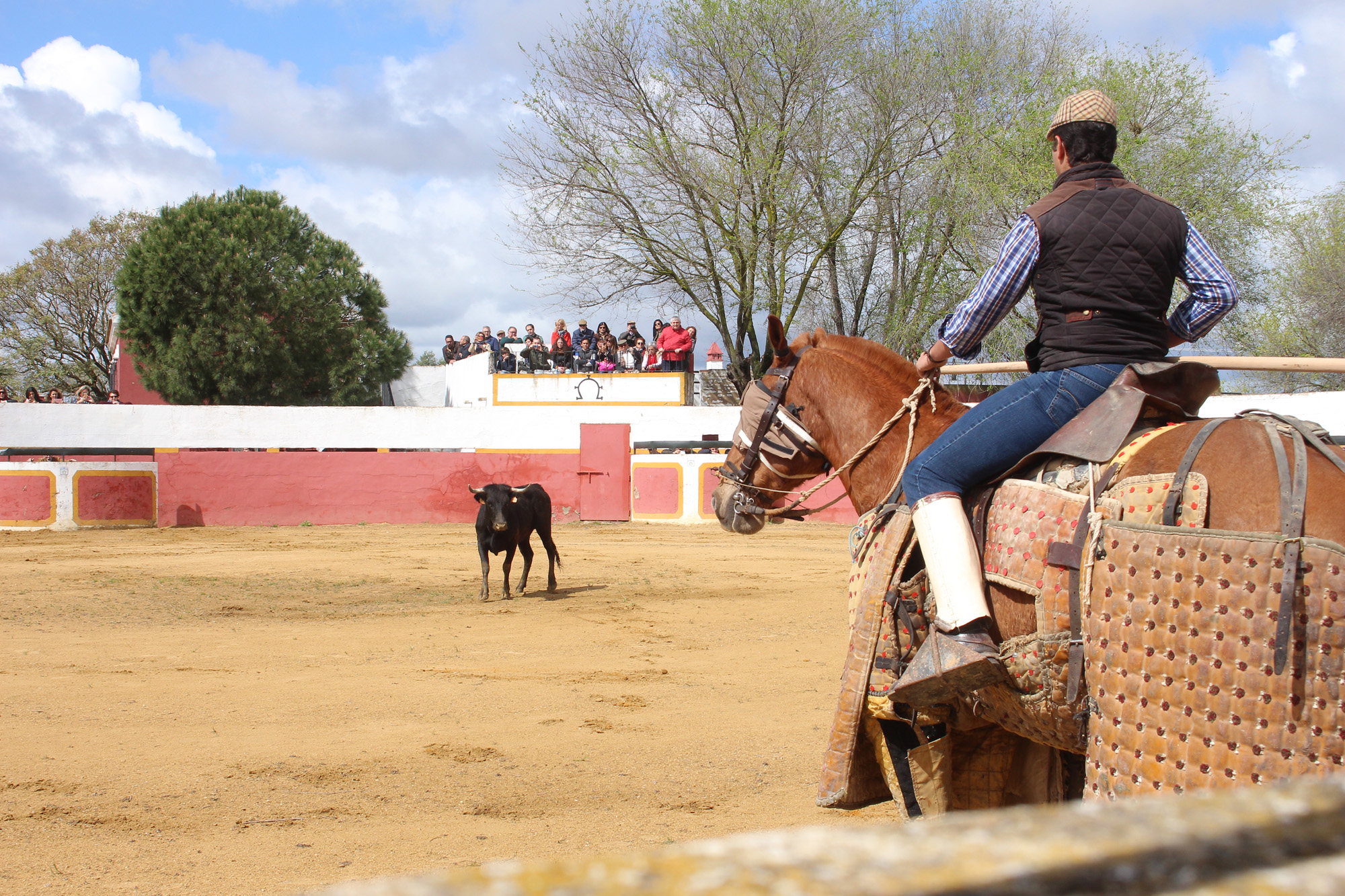Sevilla - Visita a la ganadería de Partido de Resina - 7 de abril de 2018