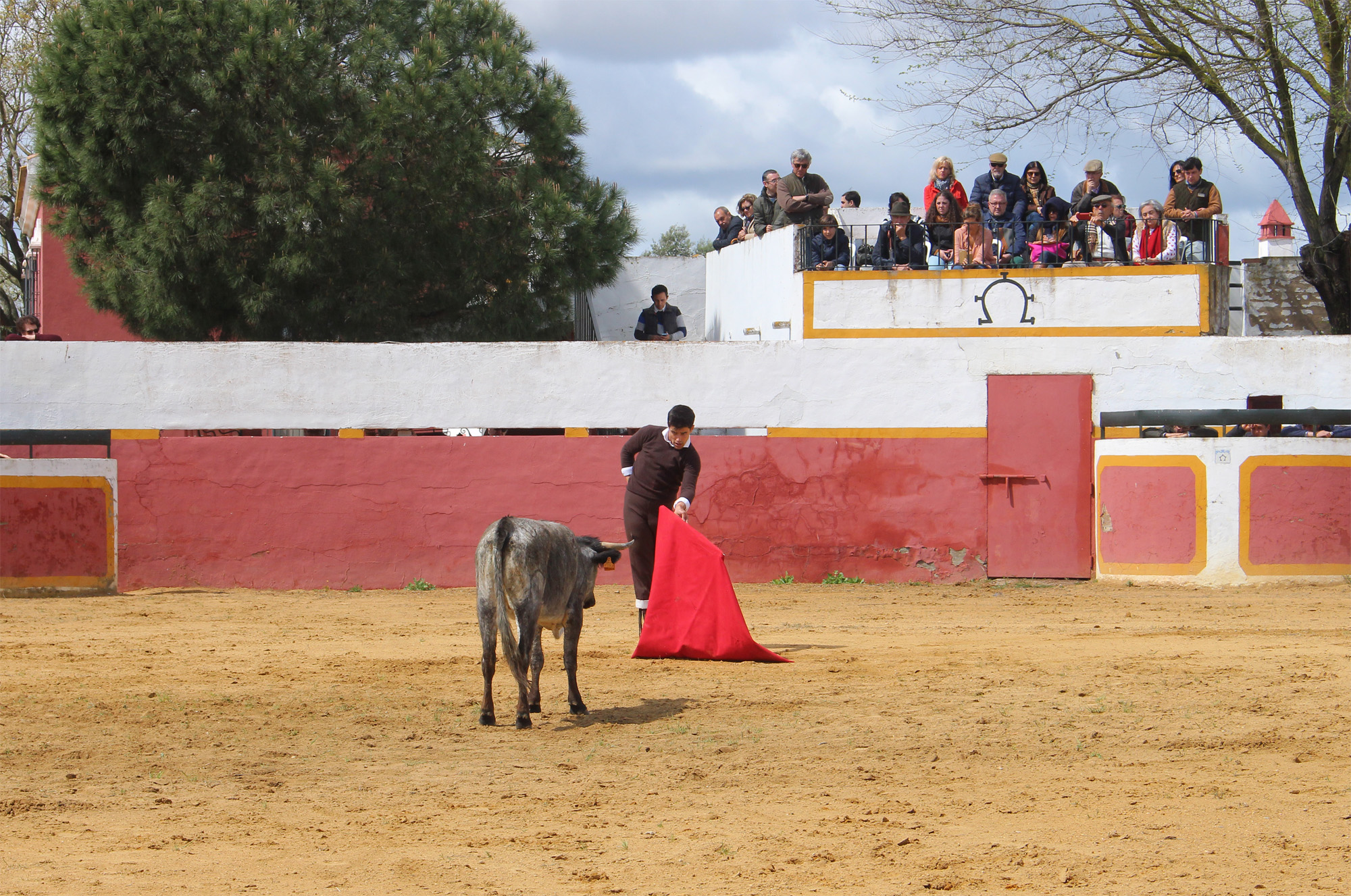 Sevilla - Visita a la ganadería de Partido de Resina - 7 de abril de 2018