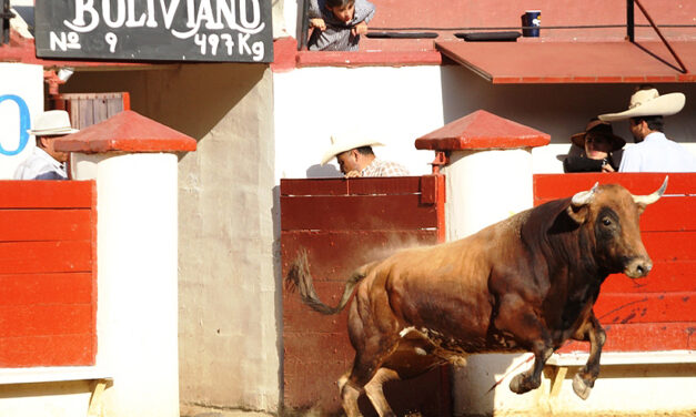 Texcoco anuncia los carteles de su Feria Internacional del Caballo