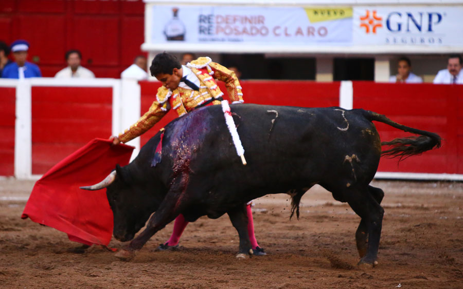 Aguascalientes (México) - Corrida de toros - Viernes 20 de abril de 2018