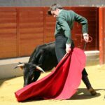 Quinto tentadero del V Certamen Alfarero de Plata 2018