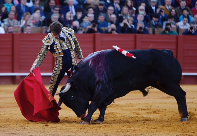 Lama de Góngora sustituirá a Cayetano en el festival de Cantillana