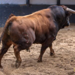 Madrid - Las Ventas - Domingo de Resurreción - 1 de abril de 2018