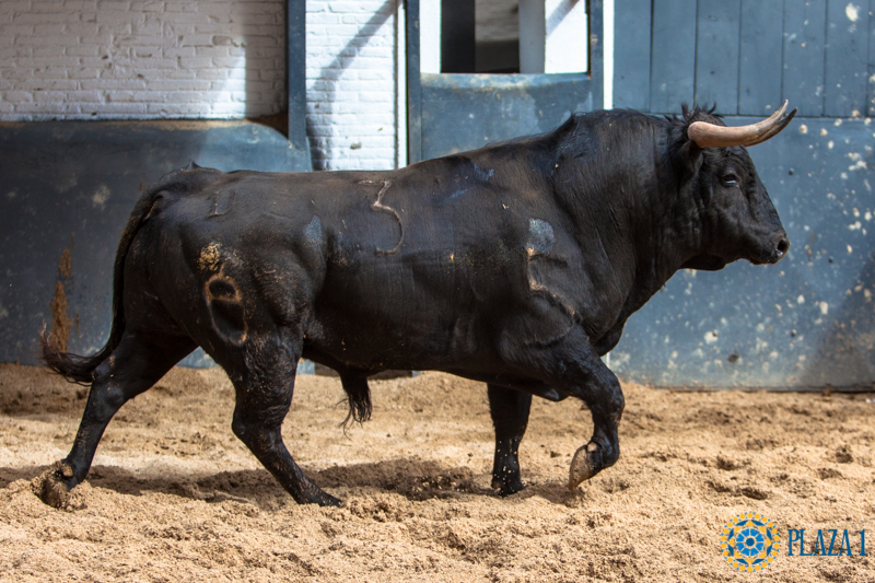 Madrid - Las Ventas - Domingo de Resurreción - 1 de abril de 2018