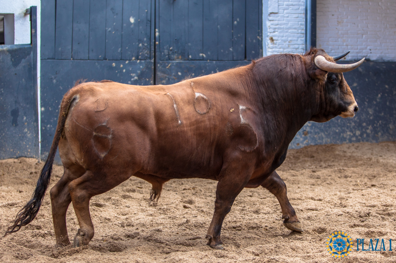 Madrid - Las Ventas - Domingo de Resurreción - 1 de abril de 2018