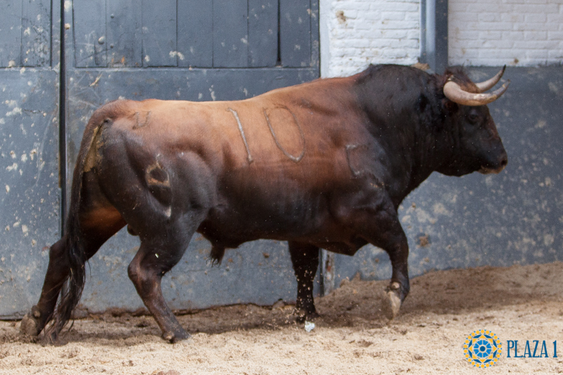 Madrid - Las Ventas - Domingo de Resurreción - 1 de abril de 2018