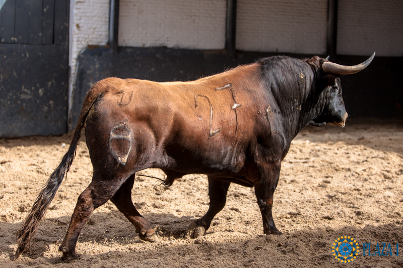 Madrid - Las Ventas - Domingo de Resurreción - 1 de abril de 2018