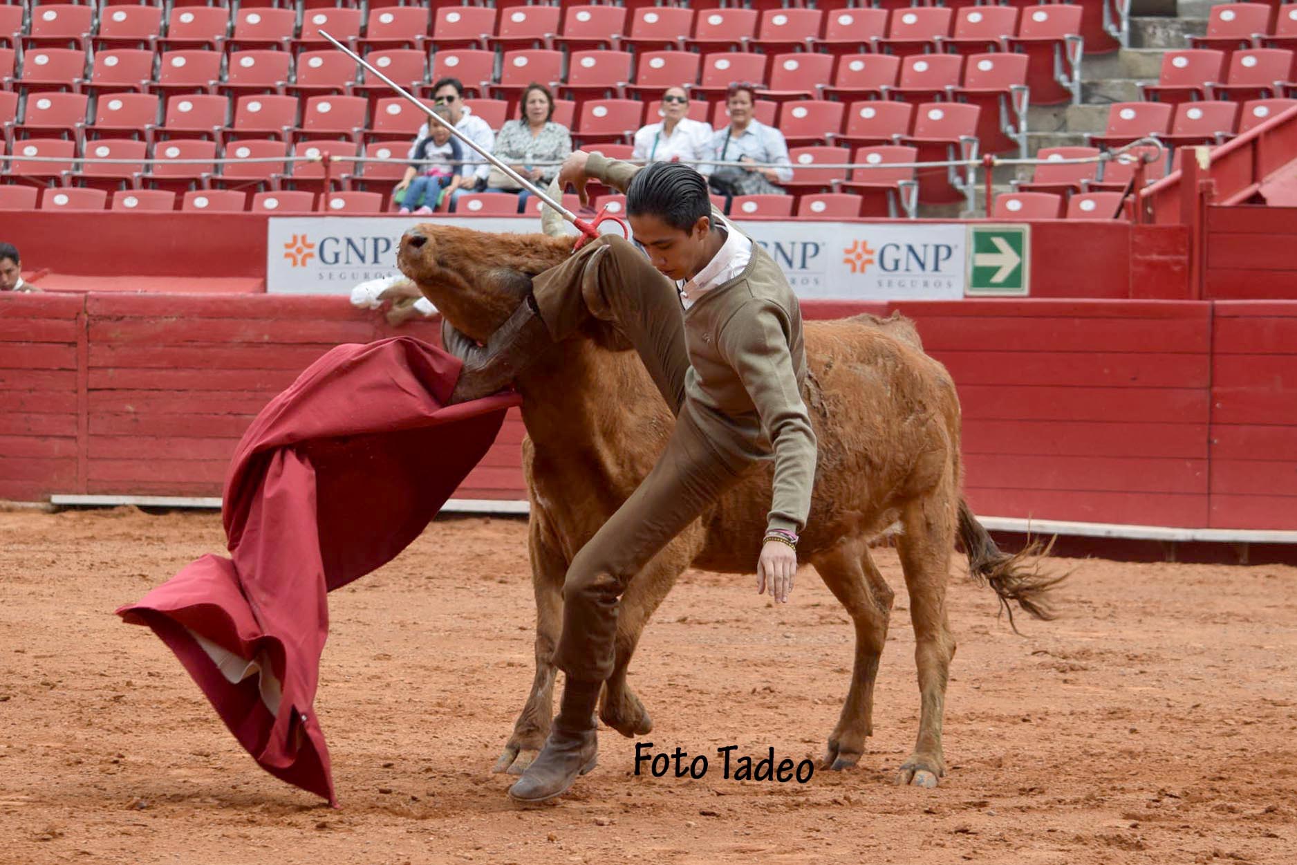 México - Cogida del novillero Víctor Valencia