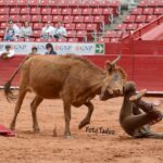 México - Cogida del novillero Víctor Valencia
