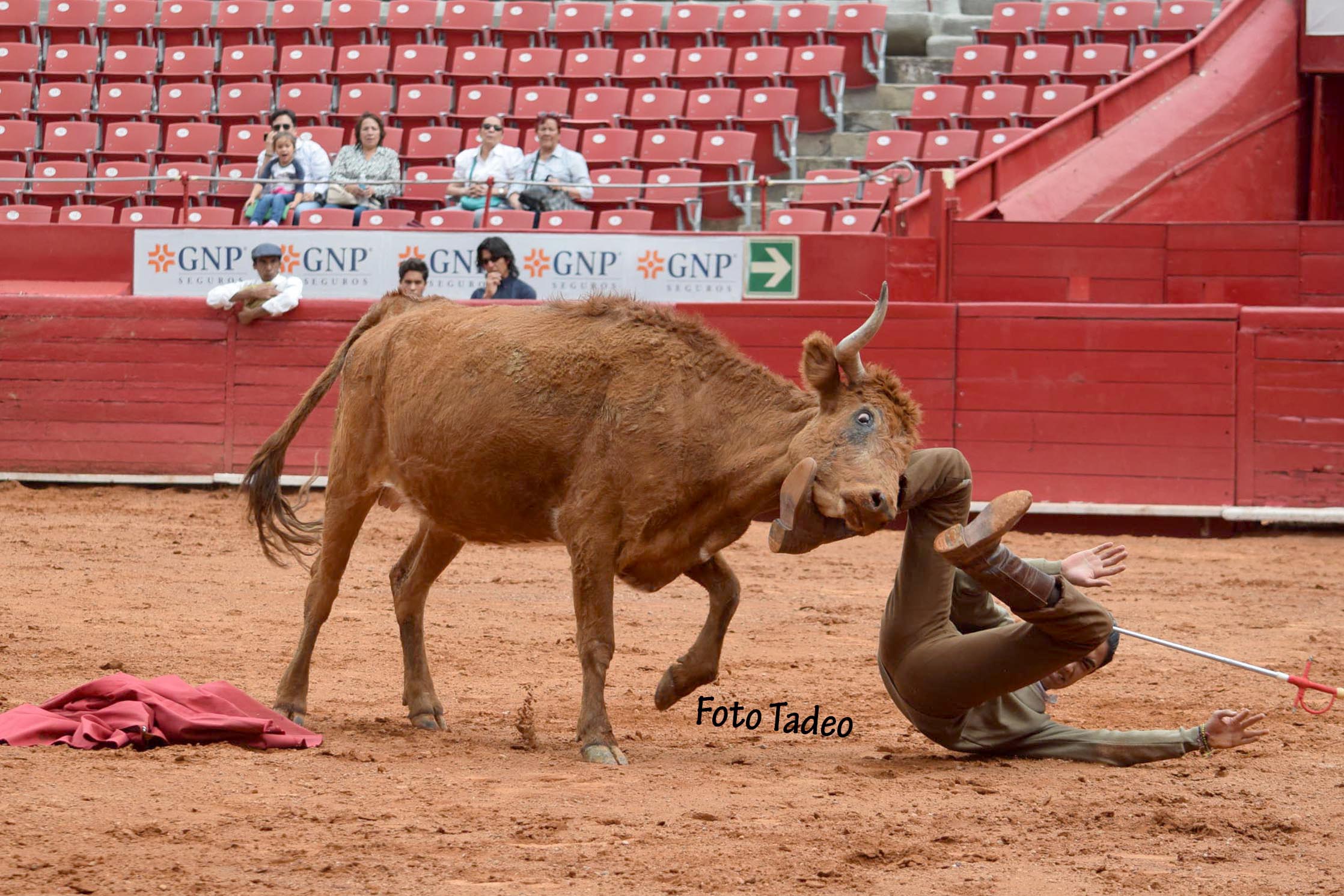 México - Cogida del novillero Víctor Valencia