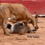 México - Cogida del novillero Víctor Valencia