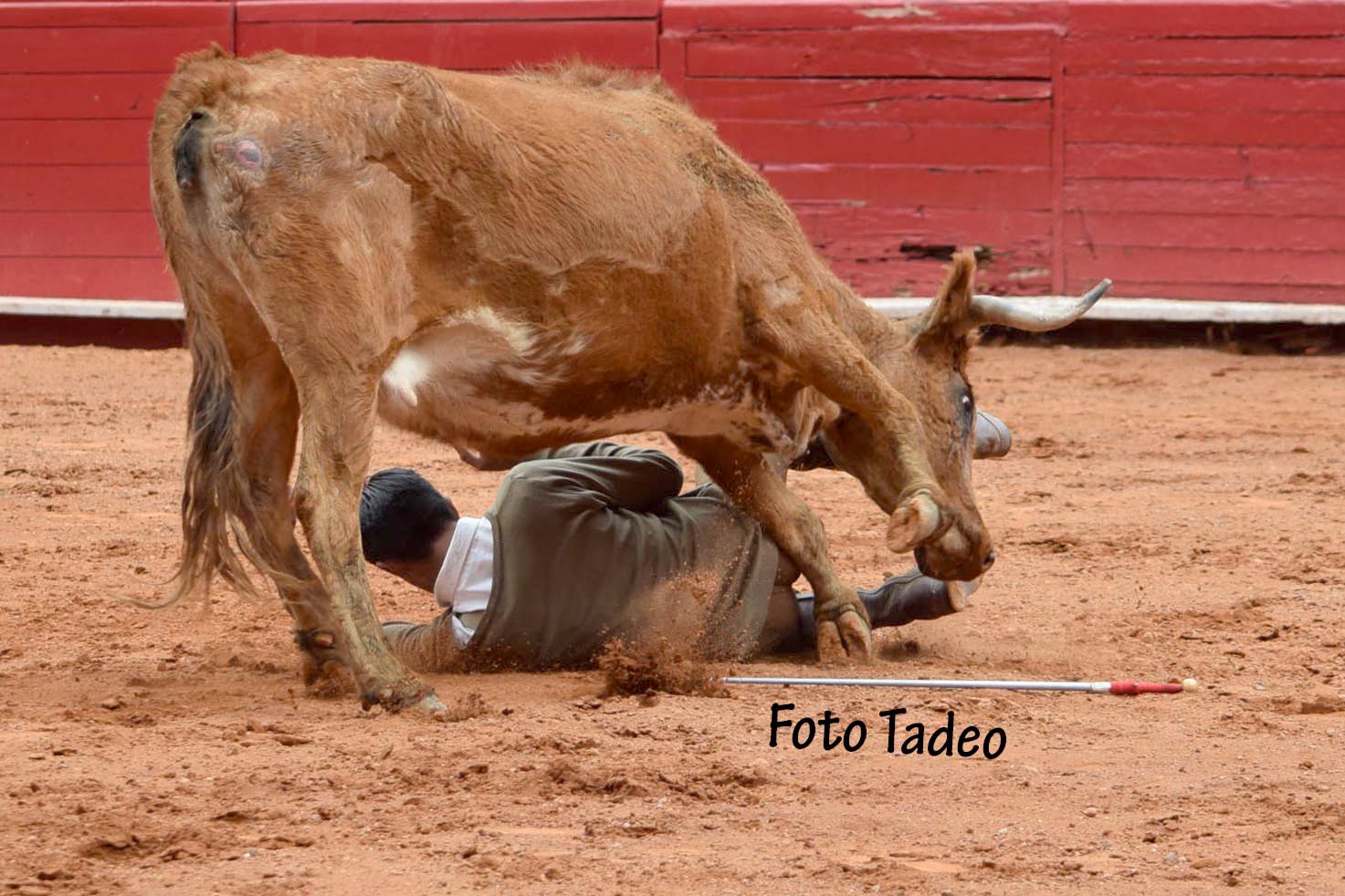 México - Cogida del novillero Víctor Valencia