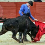 Quinto tentadero del V Certamen Alfarero de Plata 2018