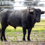 PORTERO Nº 64 • G 2014