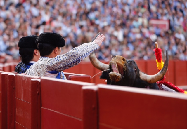 Sevilla - Corrida de toros - Domingo 22 de abril de 2018