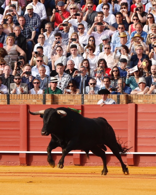 Sevilla - Corrida de toros - Domingo 22 de abril de 2018