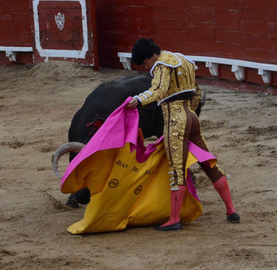 Toledo - Corrida de toros - 7 de abril de 2018