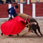 Talavera de la Reina (Madrid) - Festival benéfico - Domingo 8 de abril de 2018