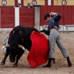 Talavera de la Reina (Madrid) - Festival benéfico - Domingo 8 de abril de 2018
