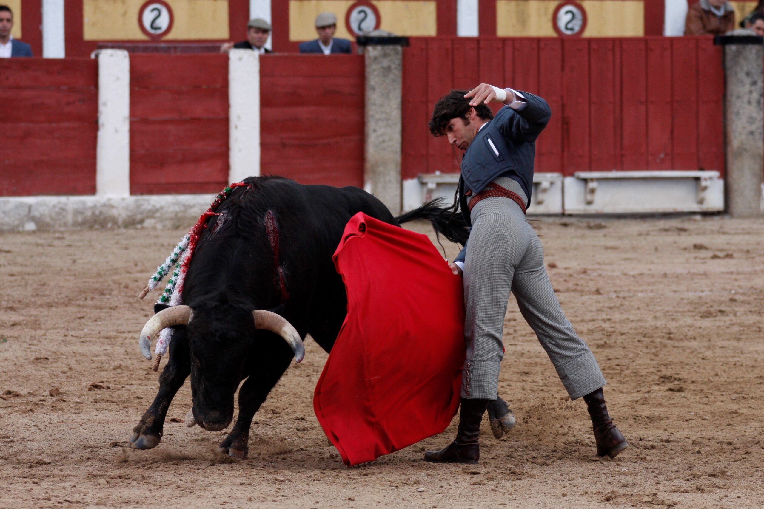 Talavera de la Reina (Madrid) - Festival benéfico - Domingo 8 de abril de 2018