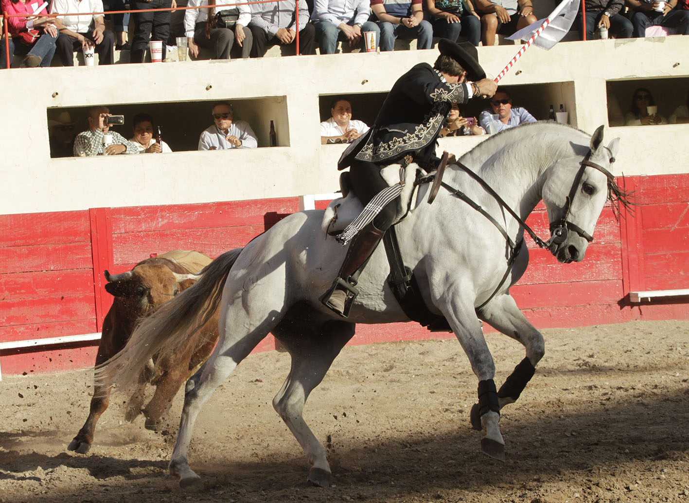 Ciudad de Juárez - Corrida de toros - Sábado 7 de abril de 2018