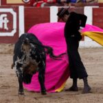 Talavera de la Reina (Madrid) - Festival benéfico - Domingo 8 de abril de 2018