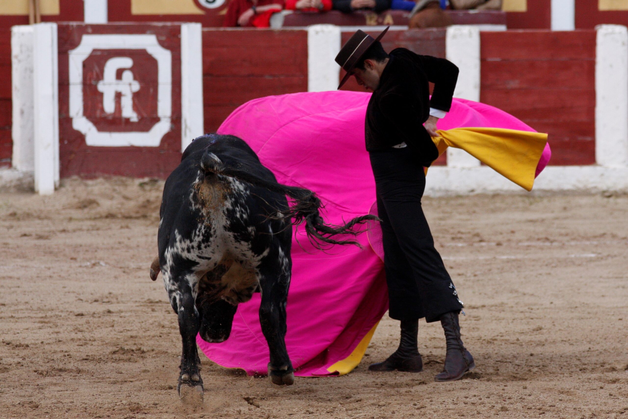 Talavera de la Reina (Madrid) - Festival benéfico - Domingo 8 de abril de 2018