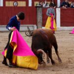 Talavera de la Reina (Madrid) - Festival benéfico - Domingo 8 de abril de 2018