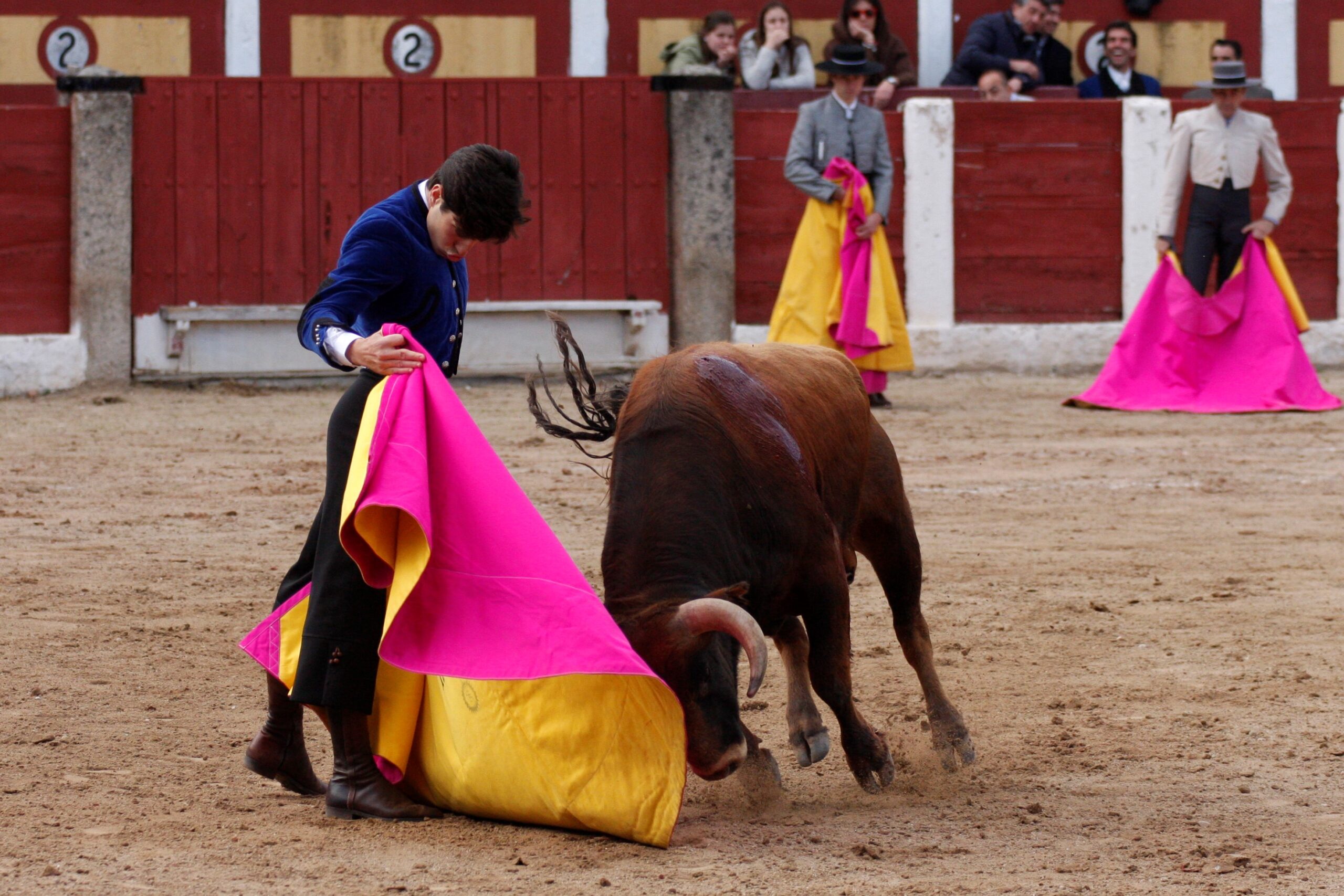 Talavera de la Reina (Madrid) - Festival benéfico - Domingo 8 de abril de 2018