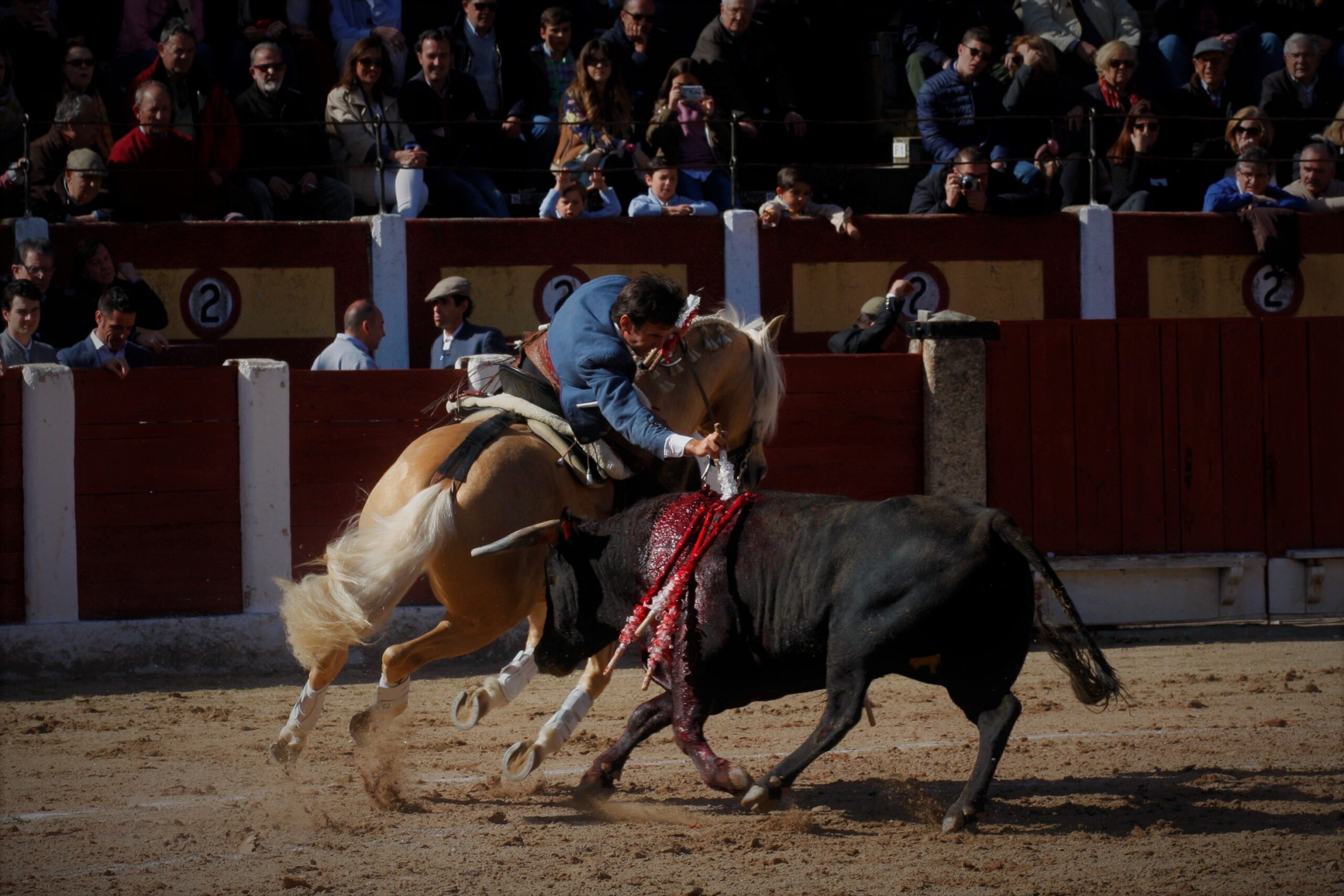 Talavera de la Reina (Madrid) - Festival benéfico - Domingo 8 de abril de 2018