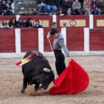Talavera de la Reina (Madrid) - Festival benéfico - Domingo 8 de abril de 2018