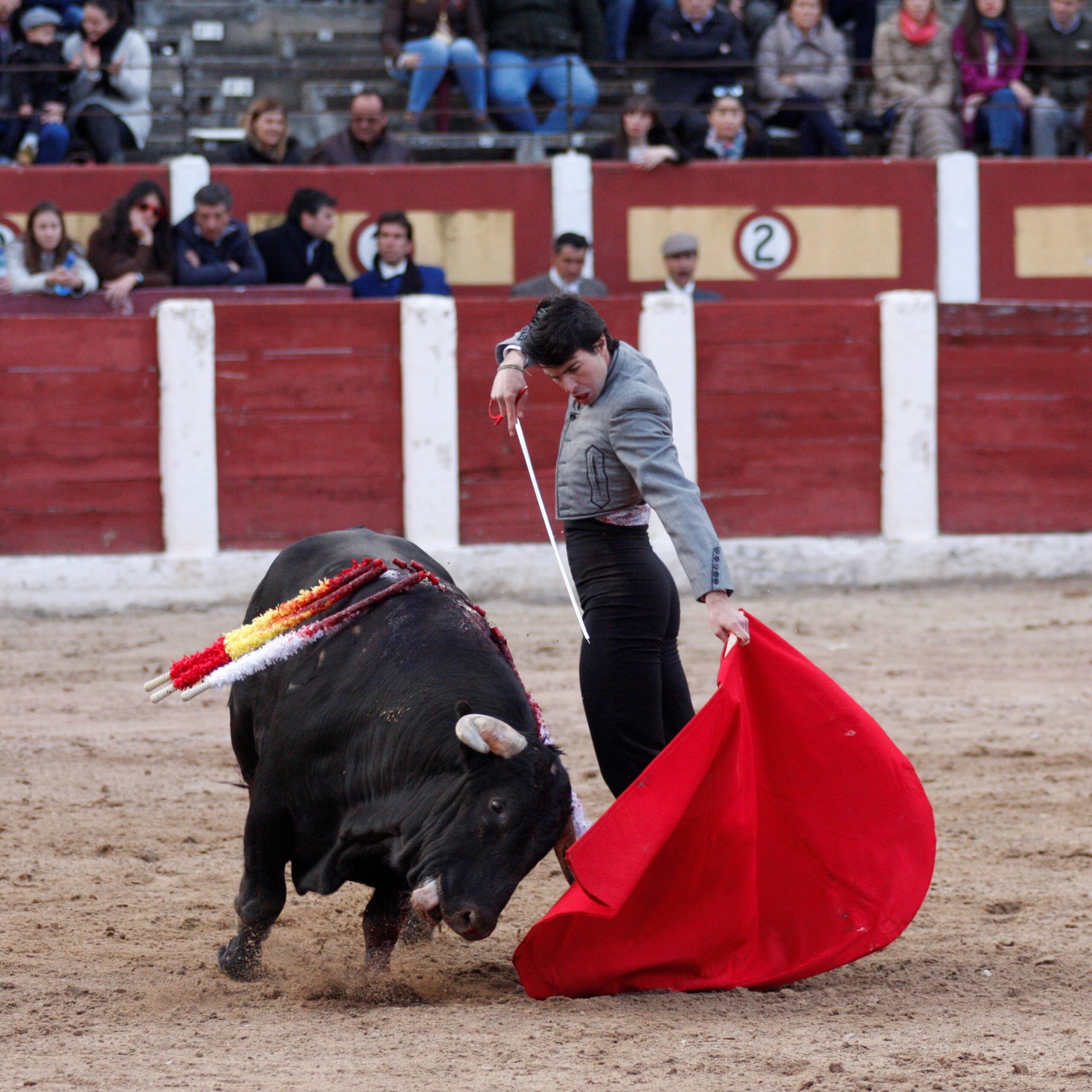 Talavera de la Reina (Madrid) - Festival benéfico - Domingo 8 de abril de 2018