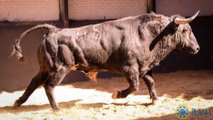 Madrid - Las Ventas - Domingo de Resurreción - 1 de abril de 2018