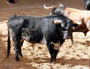 Sevilla - Real Maestranza - Sorteo - Domingo de Resurrección - 1 de abril de 2018