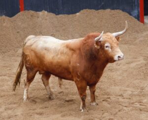 Sevilla - Sorteo - Corrida de toros - Domingo 8 de abril de 2018