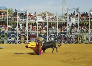 Plaza de toros de La Algaba