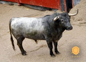 Orden de lidia, Sevilla 14 abril