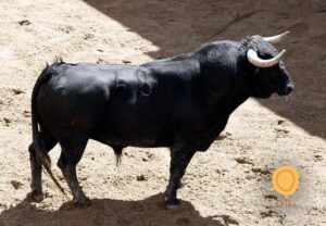 Sorteo Sevilla, 15 de abril de 2018