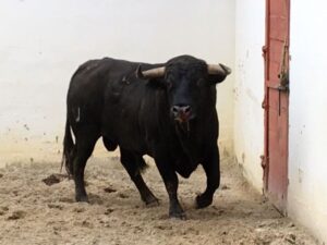 Palos de la Frontera (Huelva) - Corrida de toros - Sábado 21 de abril de 2018
