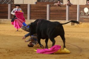 Almedinilla (Córdoba) - Cogida de Javier González