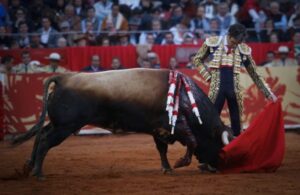 México DF. 12 de diciembre de 2017.