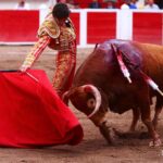 Aguascalientes (México)