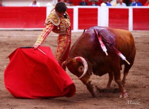 Aguascalientes (México)