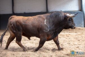 Madrid - Las Ventas - Sorteo - Novillada picada - Domingo 29 de abril de 2018