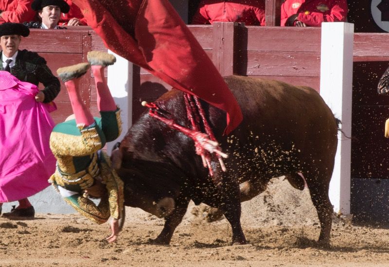 Mucho trapío y percance de Navarrete