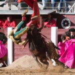 Madrid - Las Ventas - Novillada picada - Domingo 29 de abril de 2018